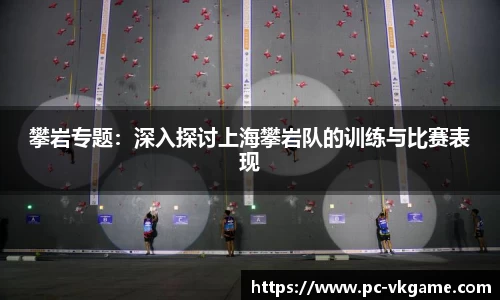 攀岩专题：深入探讨上海攀岩队的训练与比赛表现
